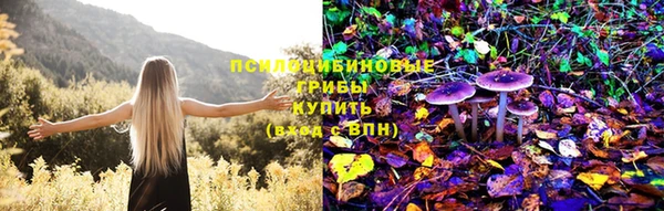метадон Армянск
