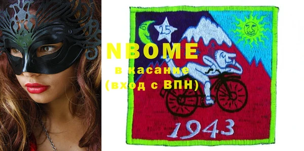 индика Арсеньев